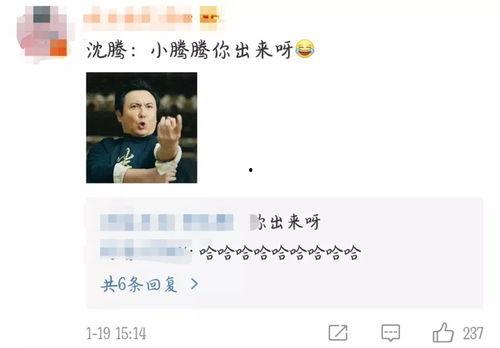 娱乐吃瓜君评论区临沂,娱乐吃瓜君的瓜田盛宴